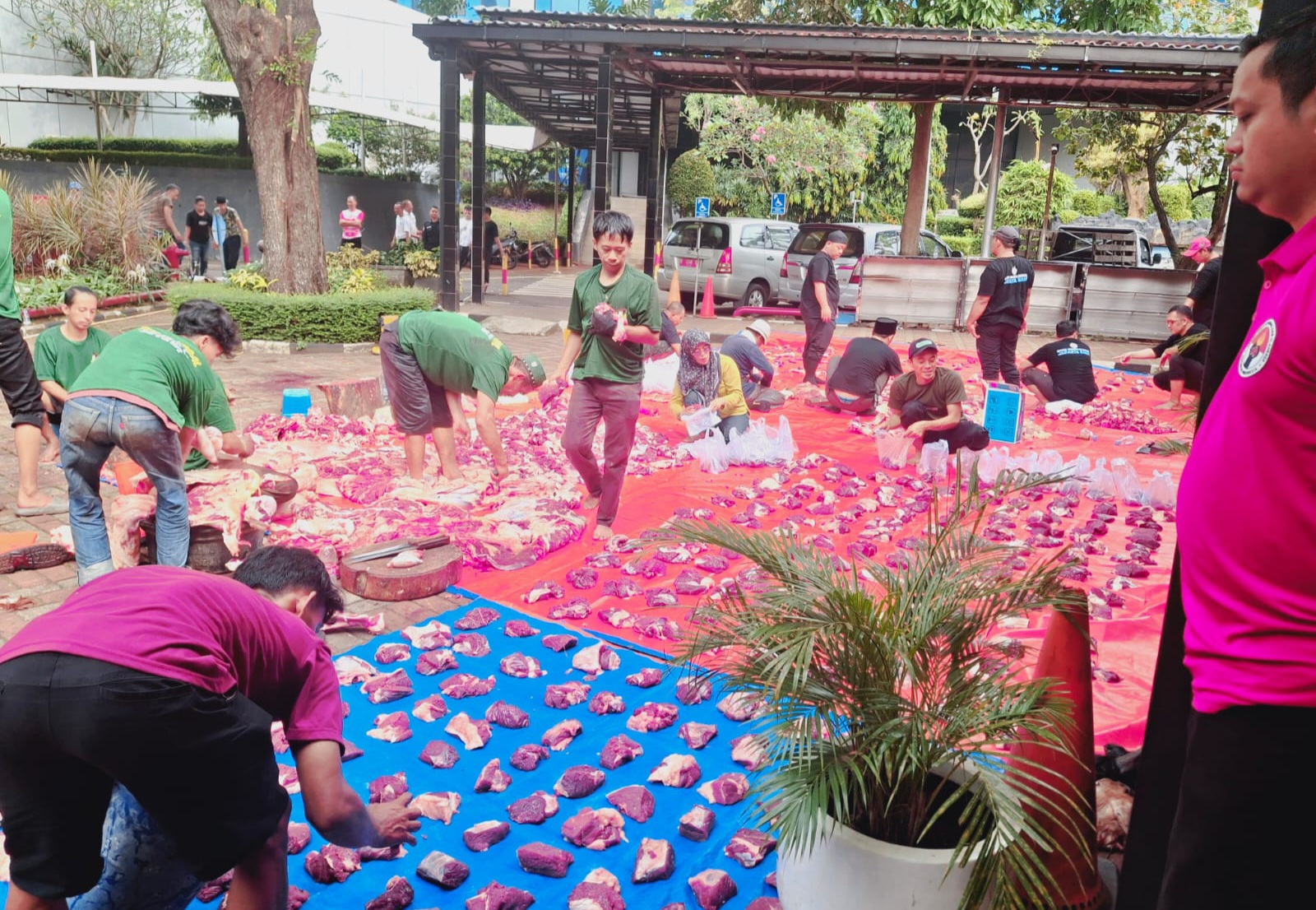 Dalam rangka menyelenggarakan syiar Hari Raya Idul Adha 1446 Hijriah, Kementerian Pemuda dan Olahraga (Kemenpora) Republik Indonesia melaksanakan kegiatan pemotongan dan penyaluran hewan qurban pada Senin pagi (9/6), bertempat di halaman Masjid Al-Muwahhi